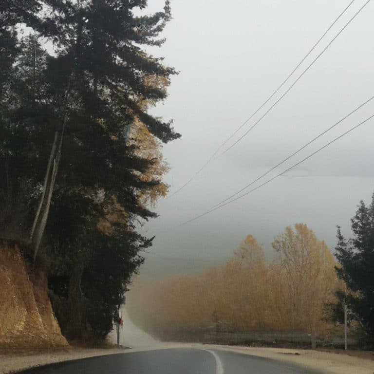 Ruyada Olu Yilan Gormek