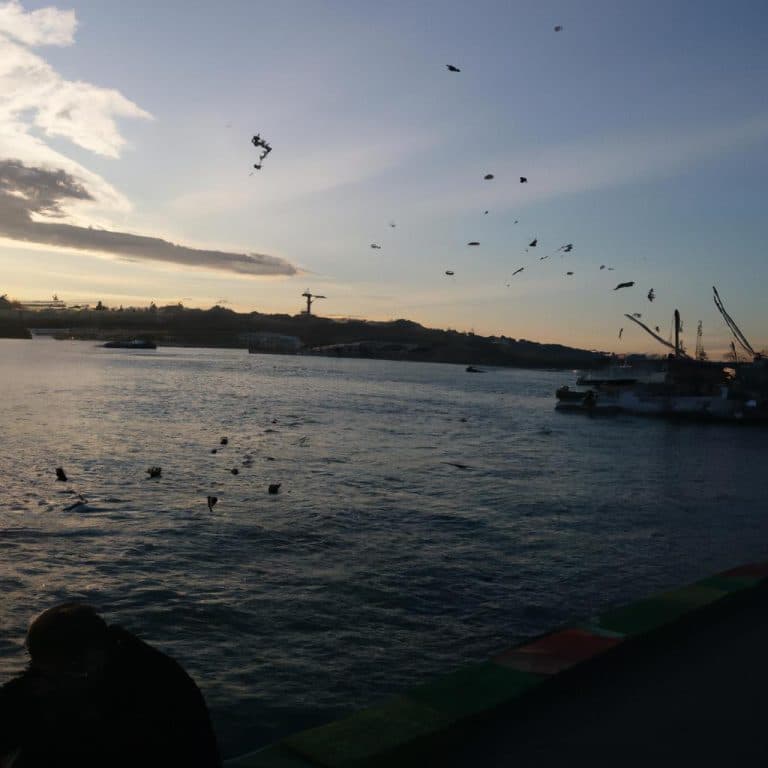 Ruyada Olunun Canlanmasi