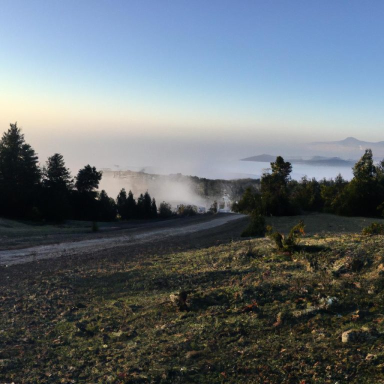 Ruyada Olunun Gulmesi