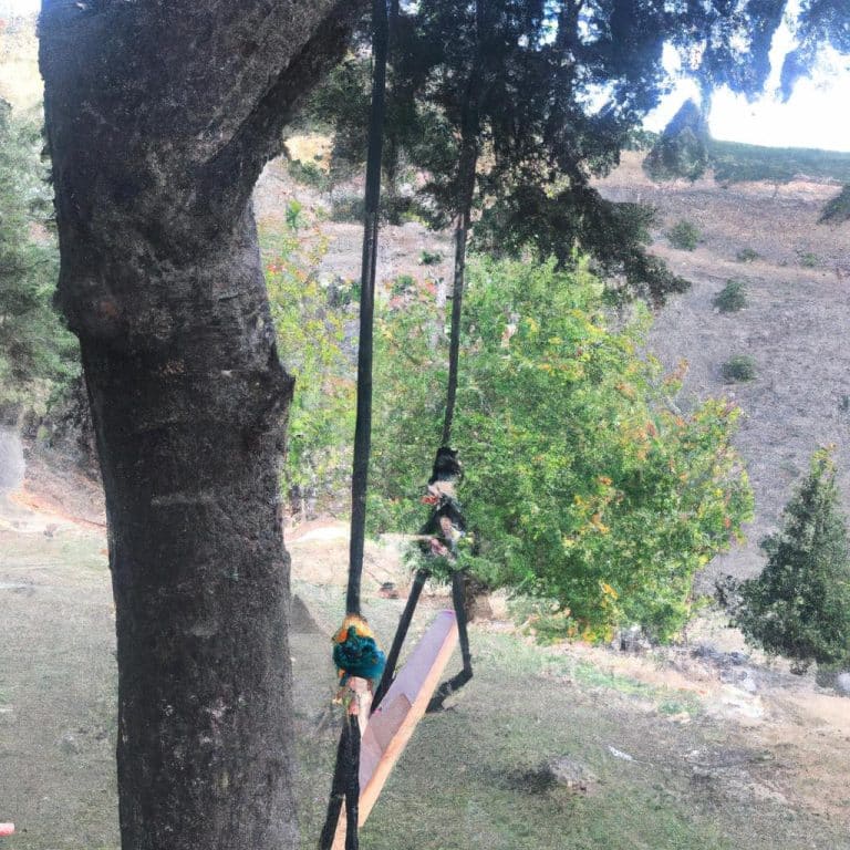 Ruyada Olunun Para Vermesi