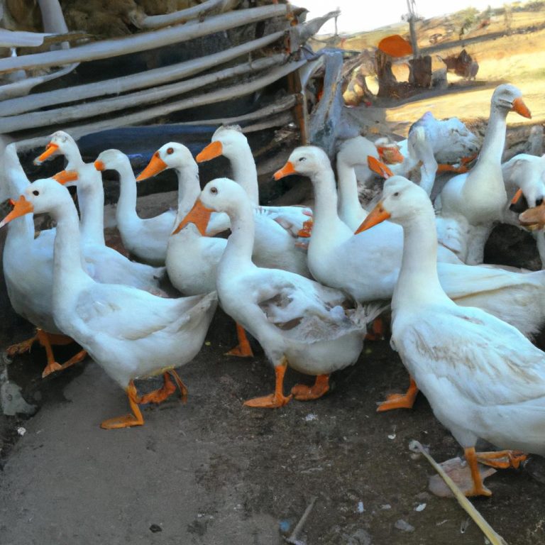 Ruyada Ordek Yumurtasi Gormek