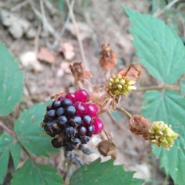 Ruyada Orgu Ipi Gormek