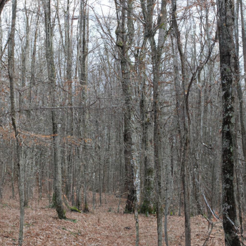 Ruyada Orman Yangin Gormek