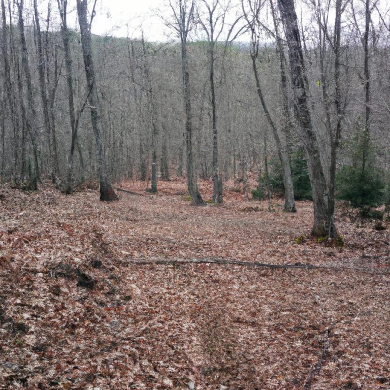 Ruyada Orman Yangini Sondurmek