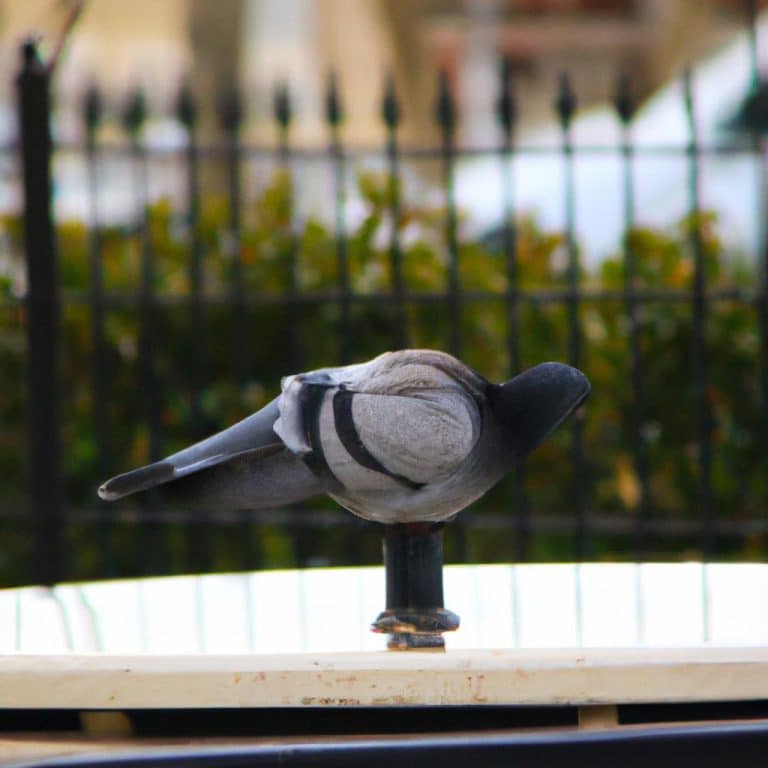 Ruyada Oruclu Oldugunu Gormek