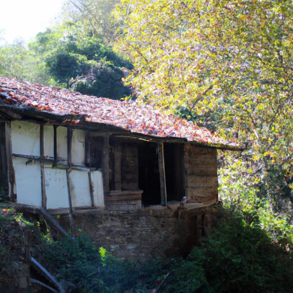 Ruyada Ozledigin Birini Gormek