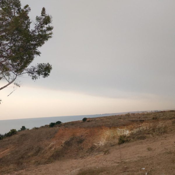 Ruyada Patlican Gormek Ne Anlama Gelir