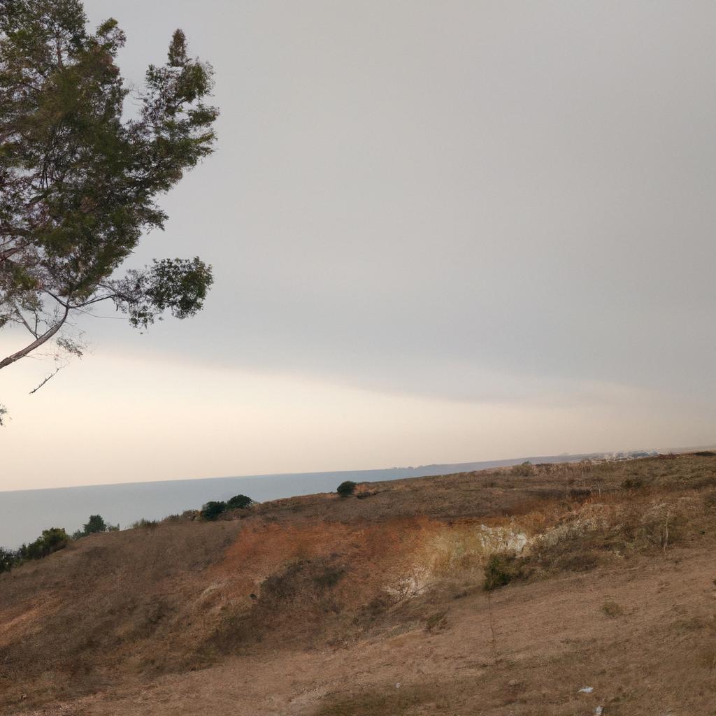 Ruyada Patlican Gormek Ne Anlama Gelir