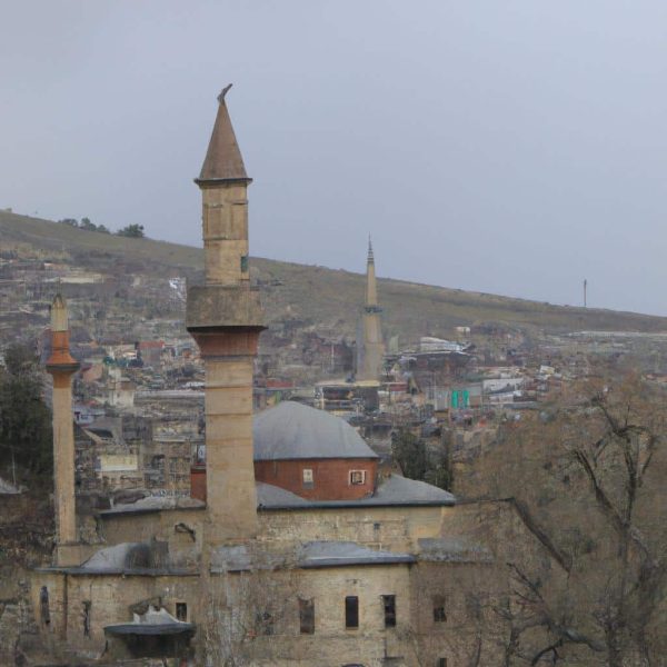 Ruyada Patron Gormek