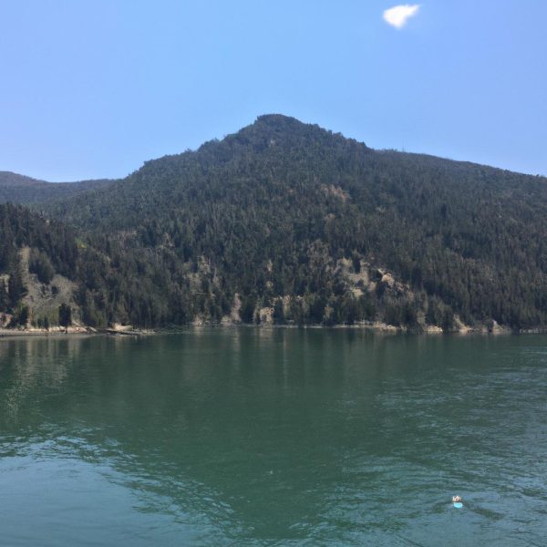 Ruyada Pire Oldurmek