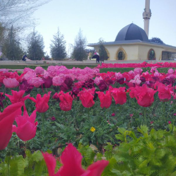 Ruyada Rengarenk Cicekler Gormek Diyanet