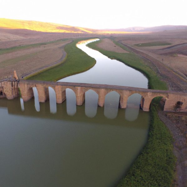 Ruyada Reyhan Gormek