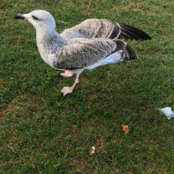 Ruyada Ruzgar Firtina Gormek