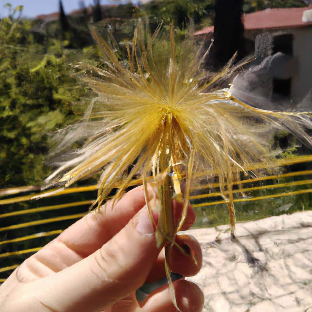 Ruyada Sac Kesmek Ne Demek