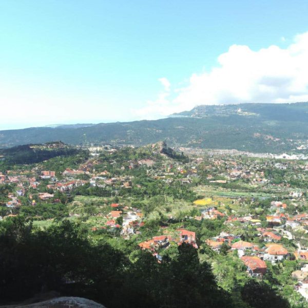 Ruyada Sacinda Bit Gormek