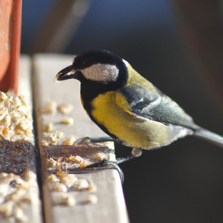 Ruyada Sacini Kesmek