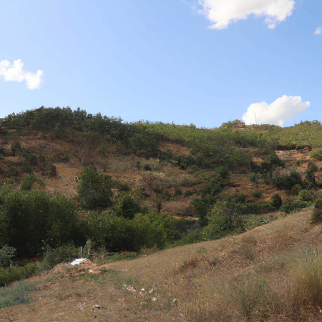 Ruyada Sacini Kisa Kestirmek