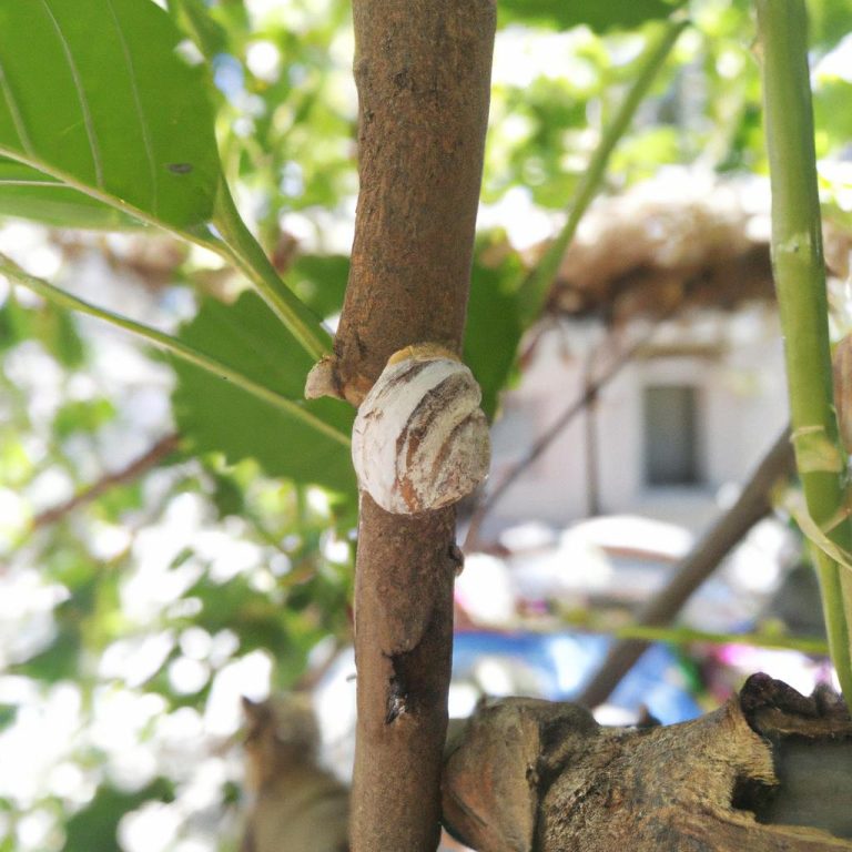 Ruyada Sacinin Kesildigini Gormek