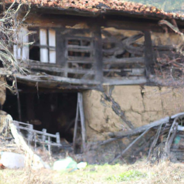 Ruyada Sacinin Uzun Oldugunu Gormek