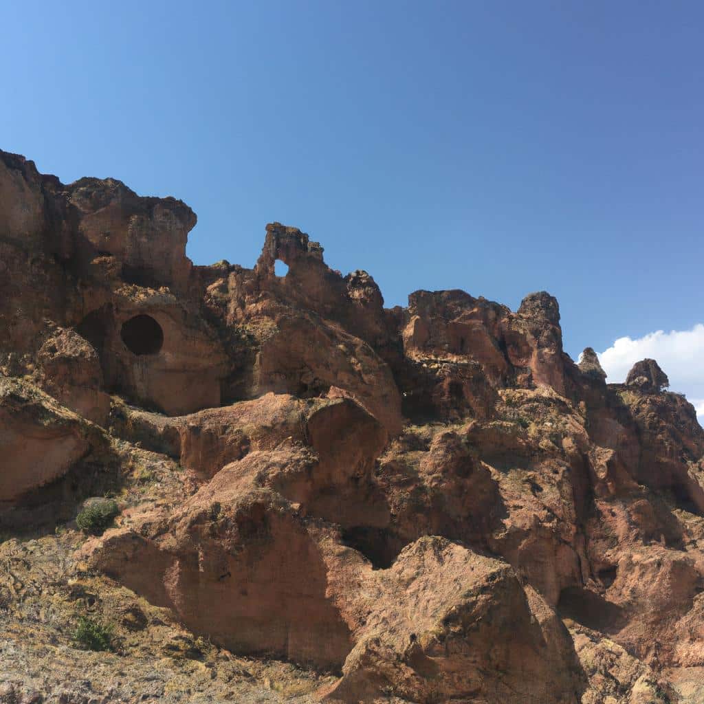 Ruyada Sacta Bit Gormek