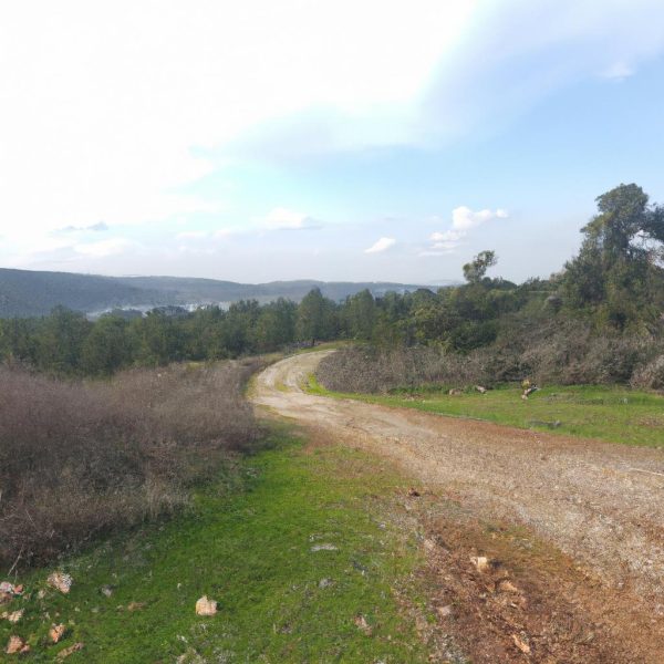 Ruyada Sakalin Kesilmesi