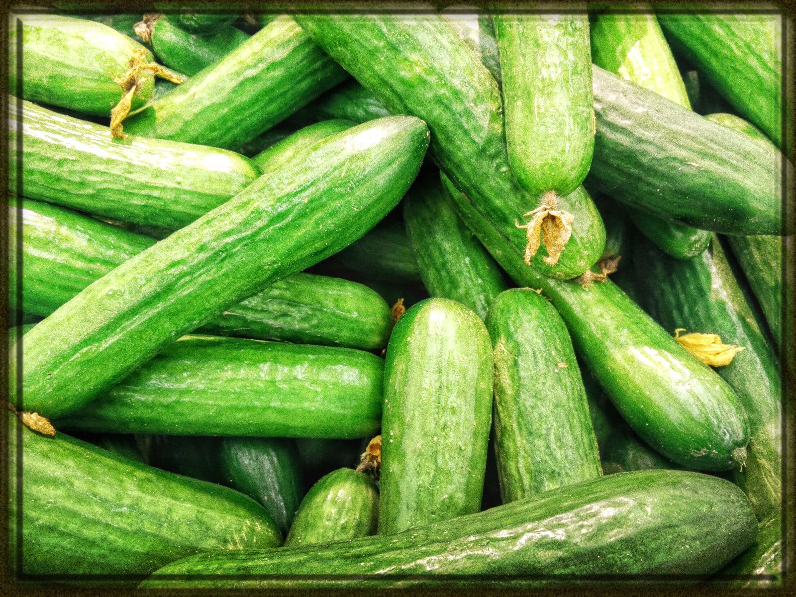 Rüyada Salatalık Görmek