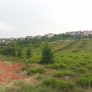 Ruyada Sancisiz Dogum Yapmak