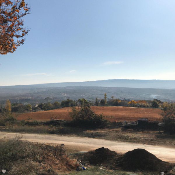 Ruyada Savasin Icinde Olmak