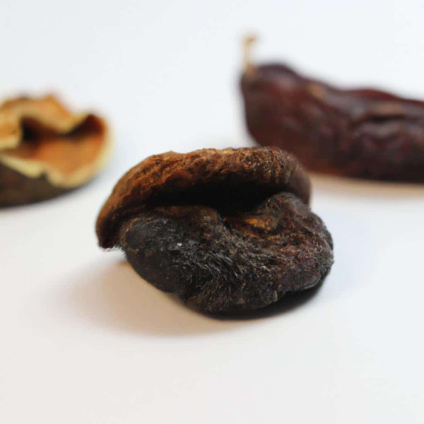 Ruyada Seccade Gormek