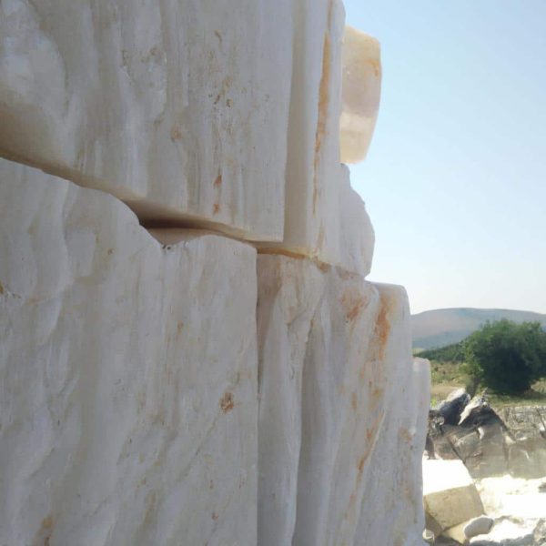 Ruyada Sel Oldugunu Gormek