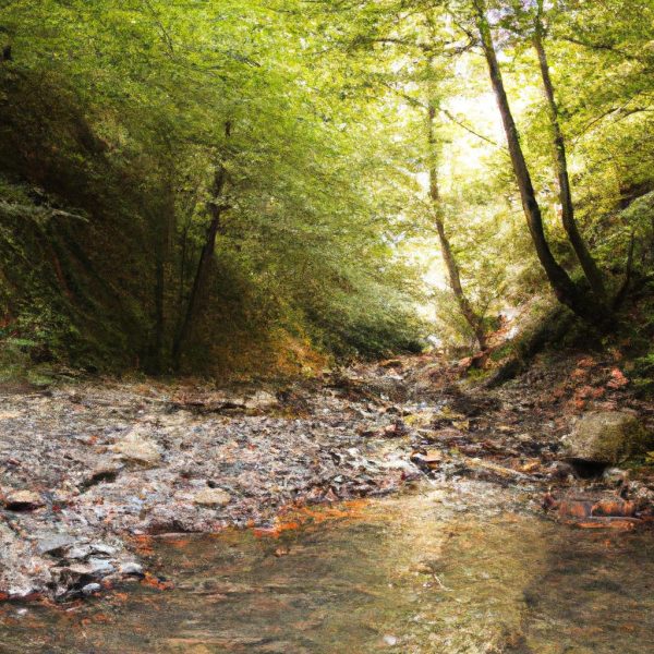 Ruyada Selden Kacmak