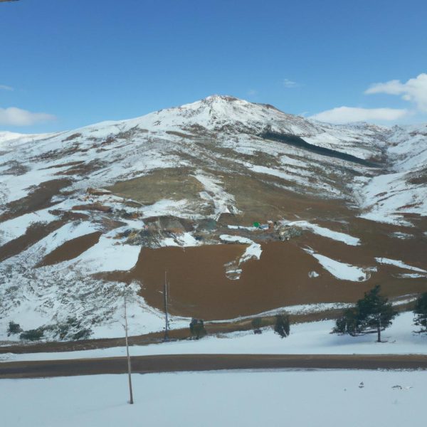 Ruyada Sempanze Gormek