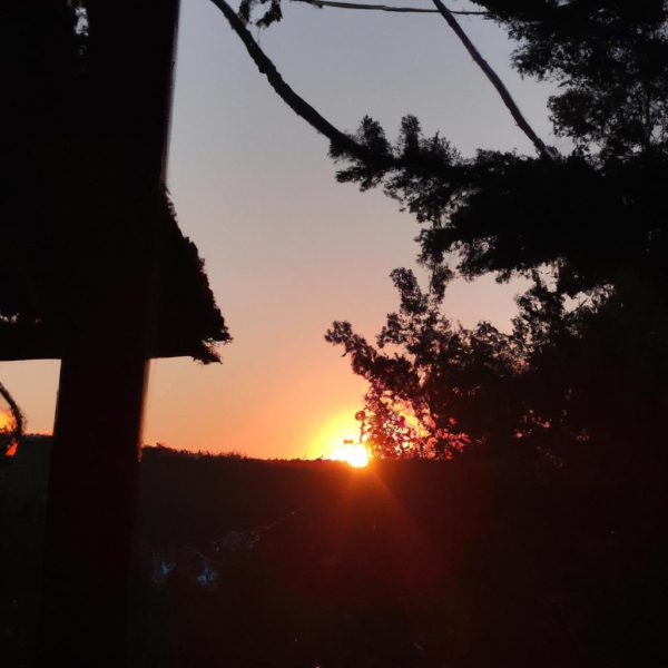 Ruyada Sevdigini Gormek Ne Anlama Gelir