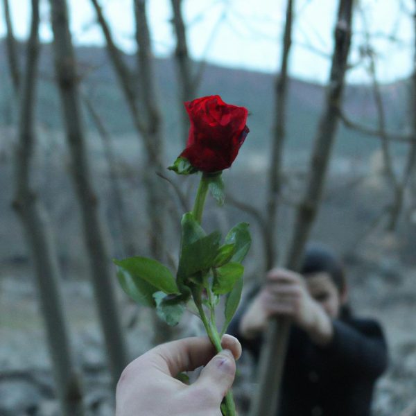 Ruyada Sevdiginle Opusmek