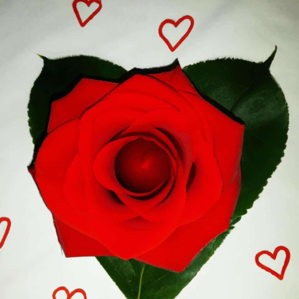 Ruyada Sevgiliyi Aldatmak