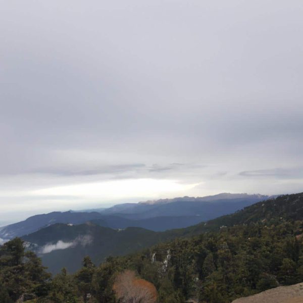 Ruyada Seyahat Etmek