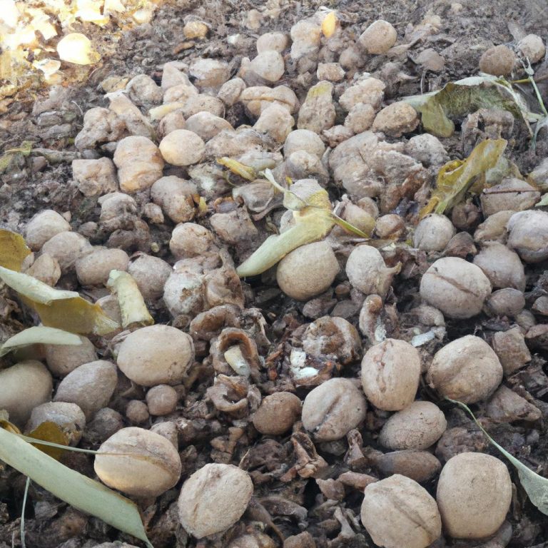 Ruyada Silah Gormek Nedir