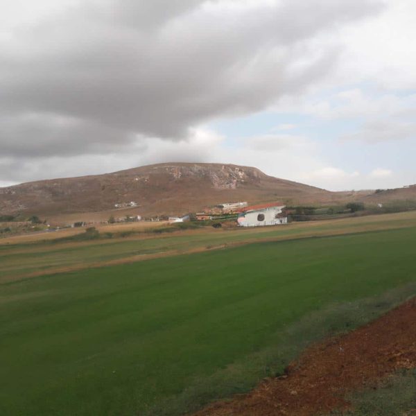 Ruyada Sinava Girdigini Gormek