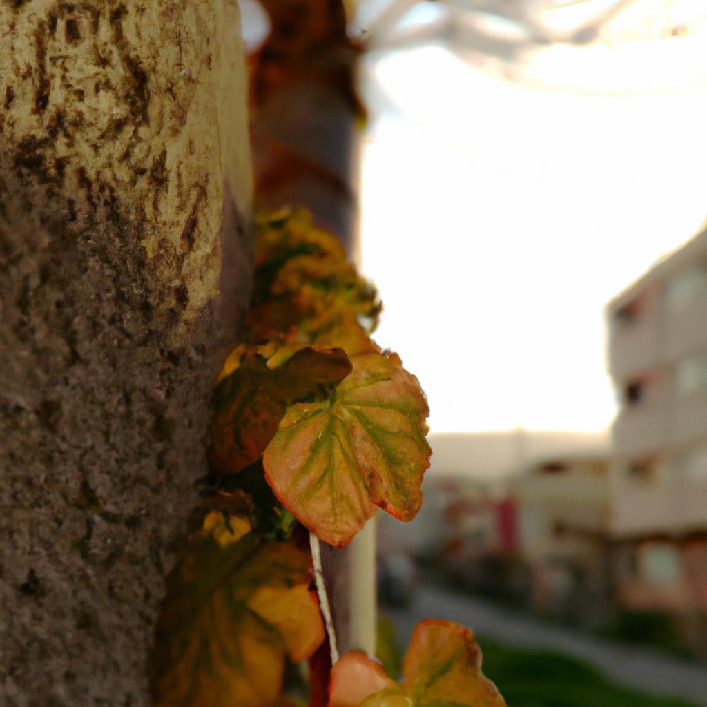 Ruyada Sivi Yag Gormek