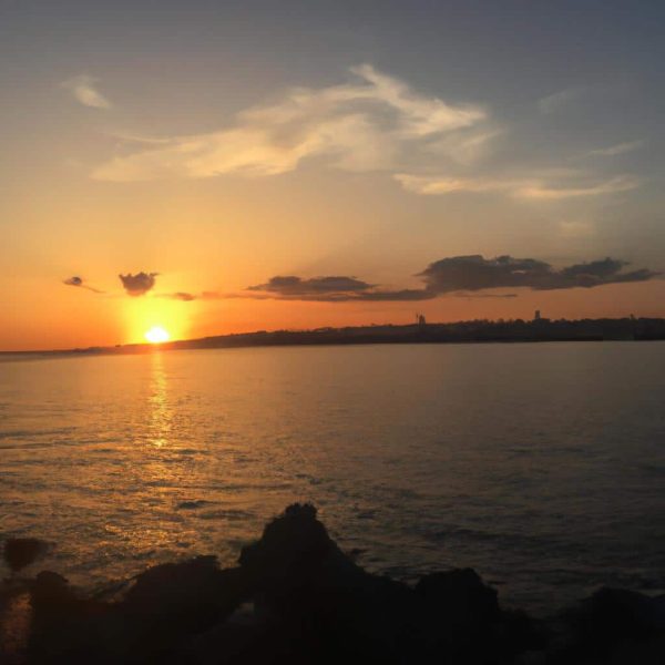 Ruyada Siyah Esek Gormek