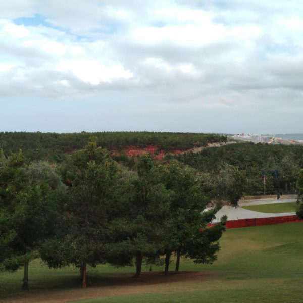 Ruyada Siyah Fare Gormek