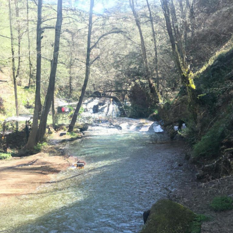 Ruyada Siyah Ip Gormek