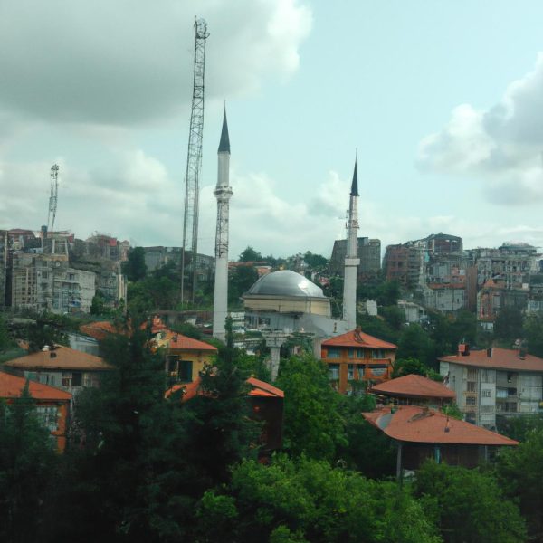 Ruyada Siyah Uzum Gormek Nedir