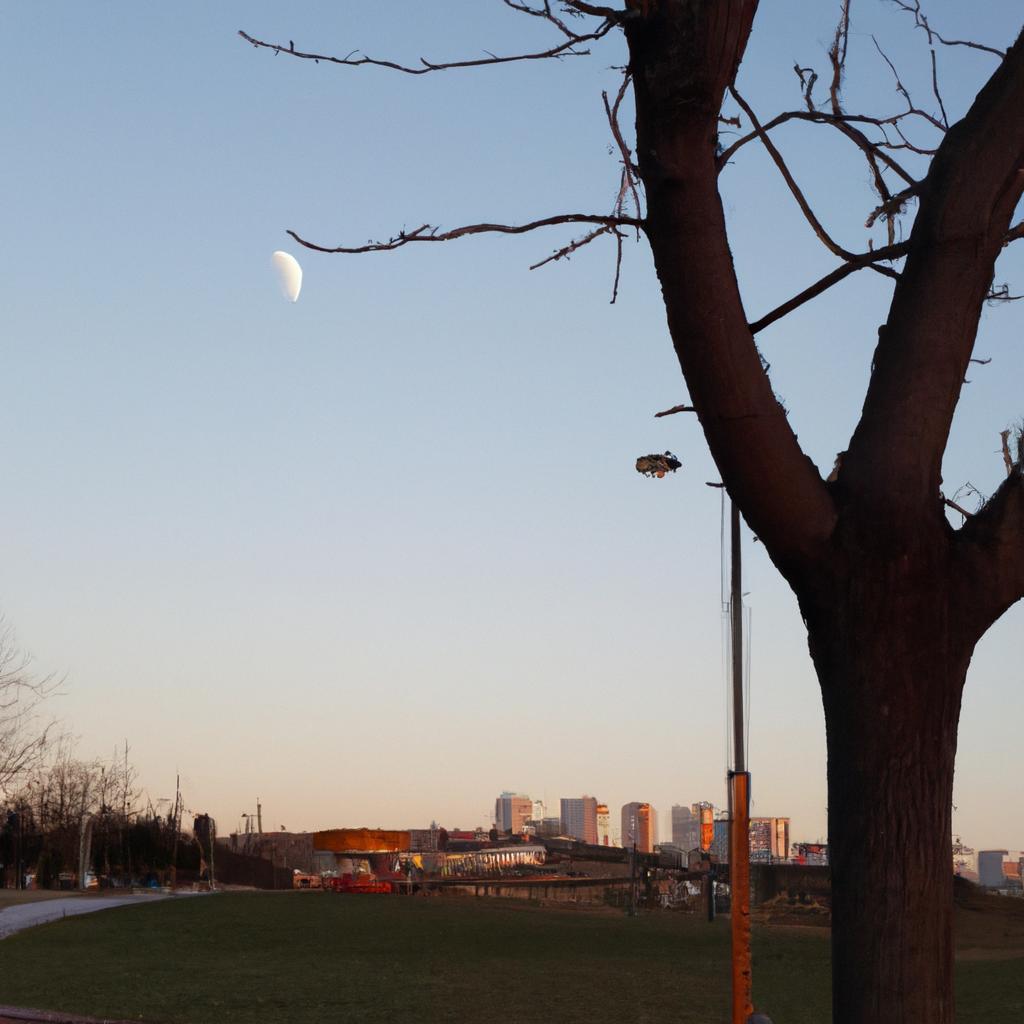 Ruyada Siyah Uzum Yedigini Gormek