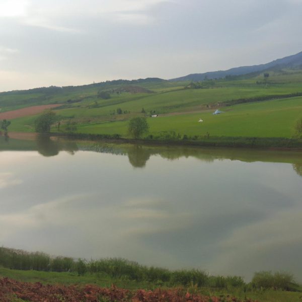 Ruyada Sogan Dogramak