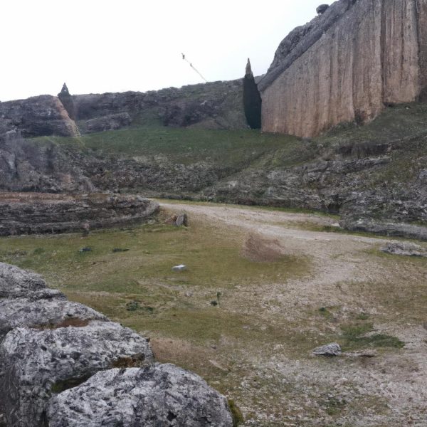 Ruyada Sumbul Gormek