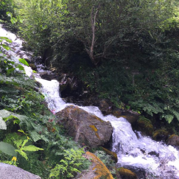 Ruyada Suyun Icinde Yilan Gormek