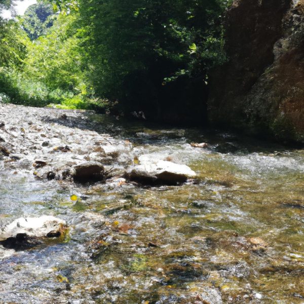 Ruyada Suyun Icinde Yurumek