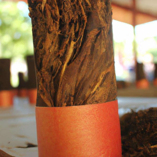 Ruyada Tabak Kirilmasi