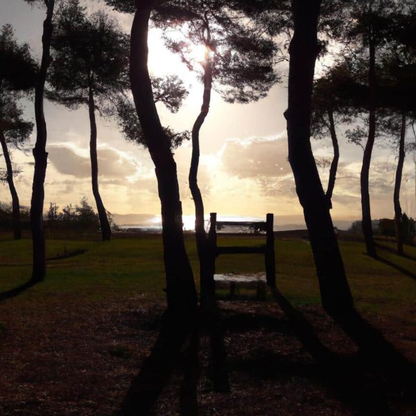 Ruyada Takvim Gormek